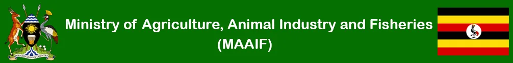 MAAIF